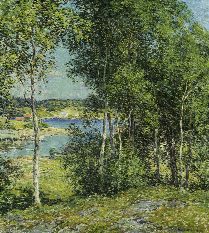 A Family of Birches