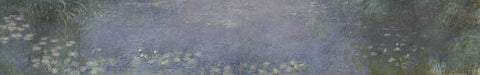 The Water Lilies - Morning