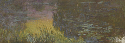 The Water Lilies - Setting Sun