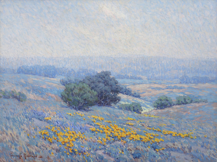 Wildflowers, Poppies, and Lupines