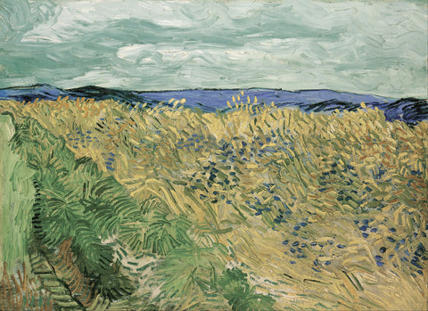 Wheatfield With Cornflowers