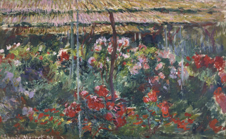 Peony Garden