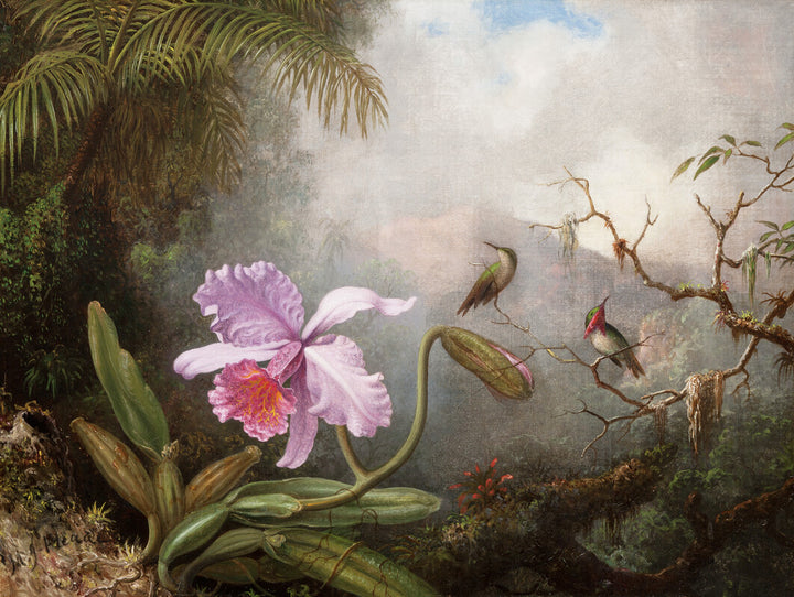 Cattleya Orchid with Two Hummingbirds