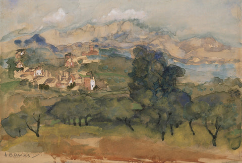 Olive Trees