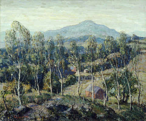 New England Birches