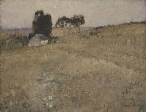 A summer evening