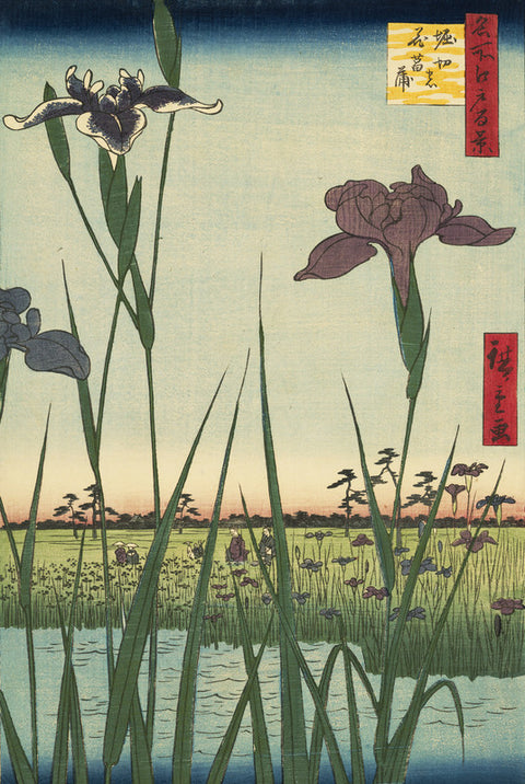 Irises at Horikiri, no. 56 from the series One-hundred Views of Famous Places in Edo