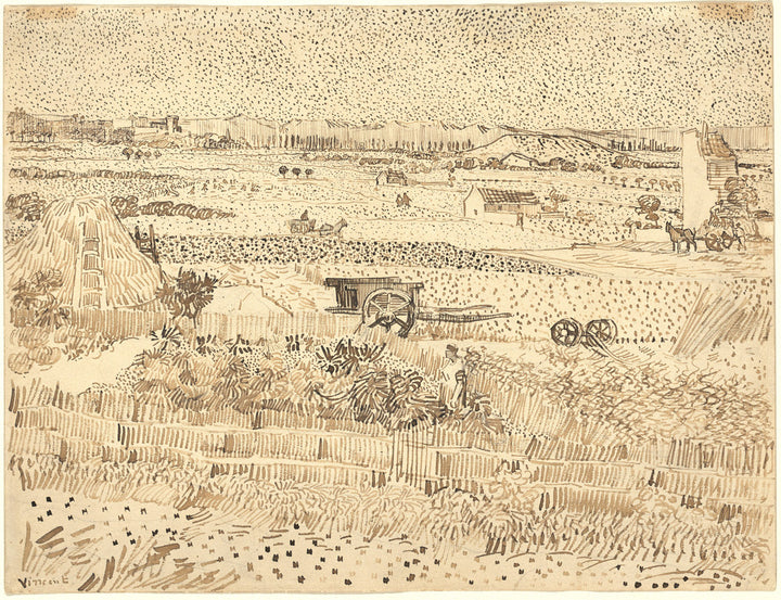 Harvest-The Plain of La Crau