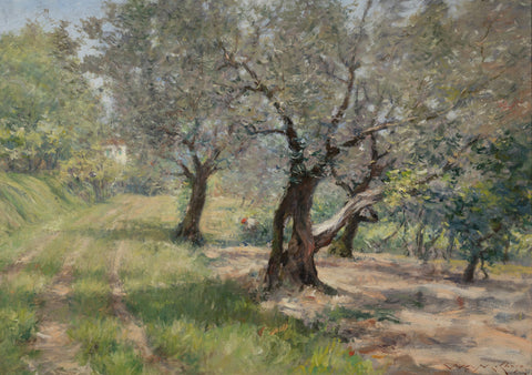 The Olive Grove