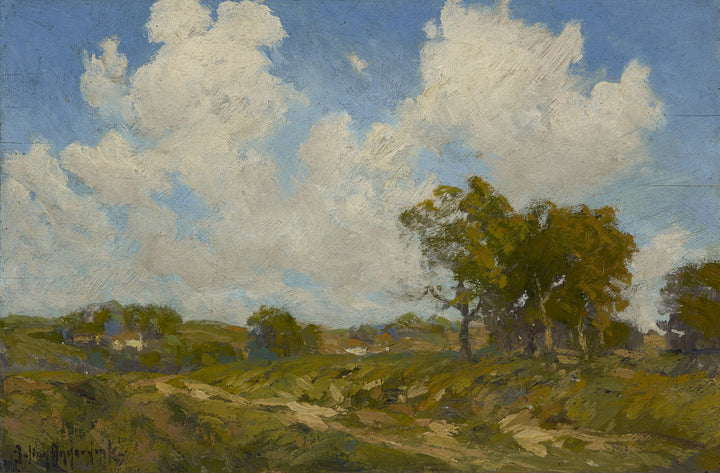 A Sunny Day