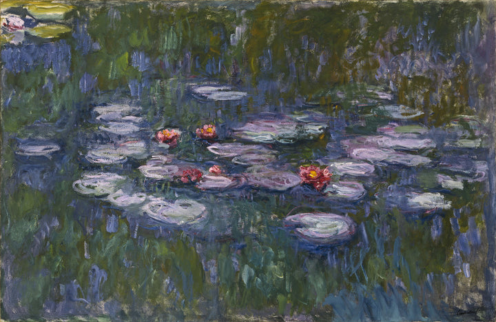 Nympheas (Water Lilies)