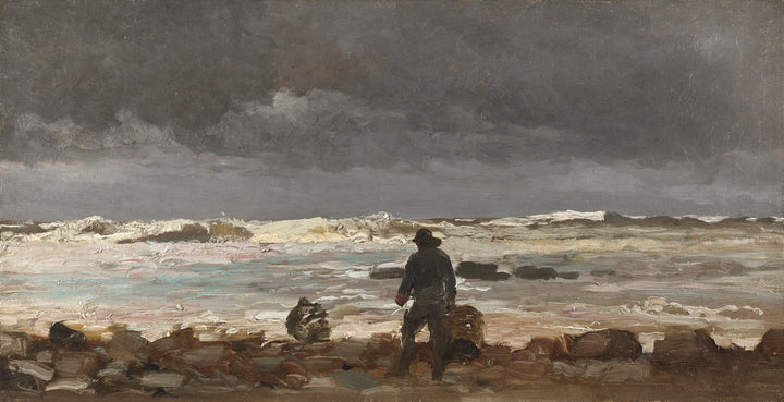 Rocky Coast (Maine Coast)
