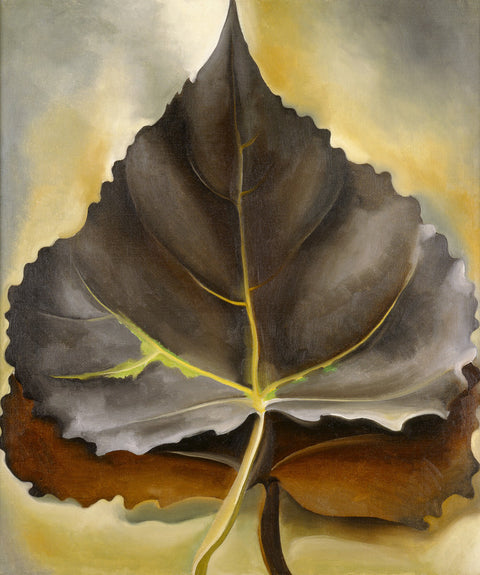 Grey and Brown Leaves