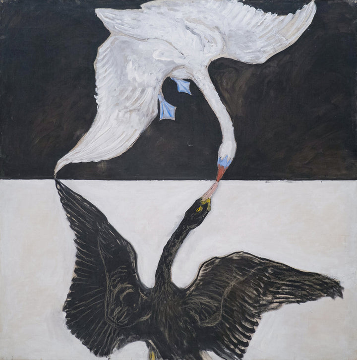Group IX/SUW, No. 1, The Swan