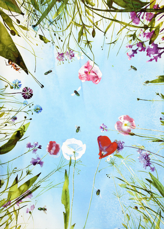 Untitled (Meadow)