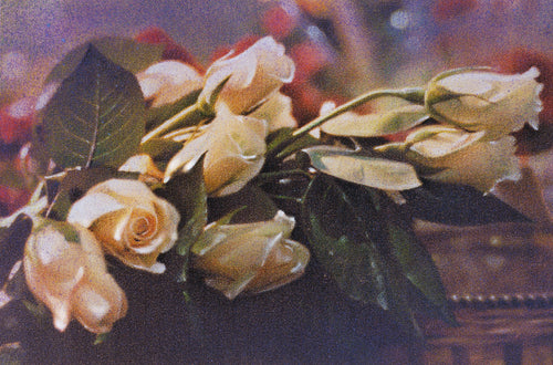 Basket Roses
