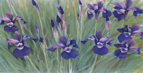 Irises