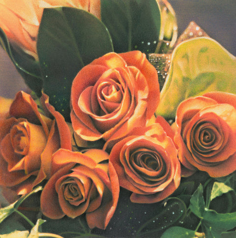 Orange Roses