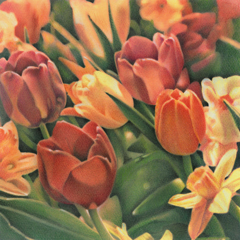 Tulips