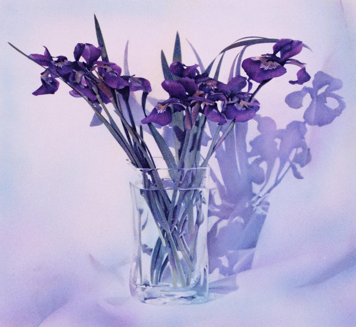 Vased Irises