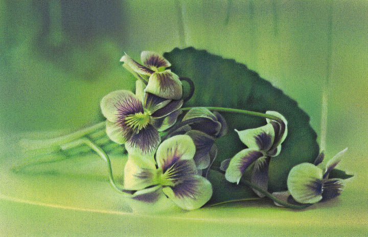 Violets
