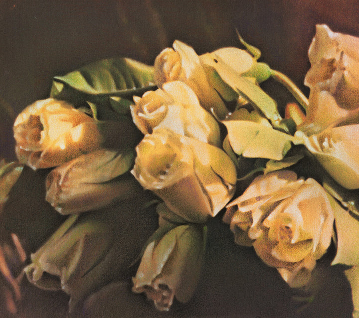 White Roses