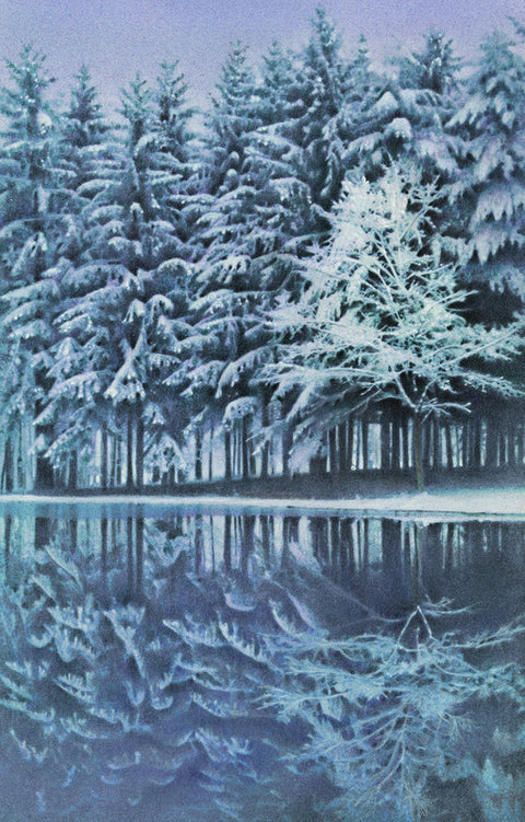 Winter Reflections
