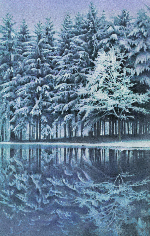 Winter Reflections