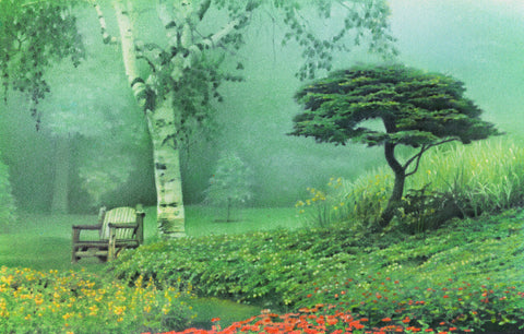 Misty Morning