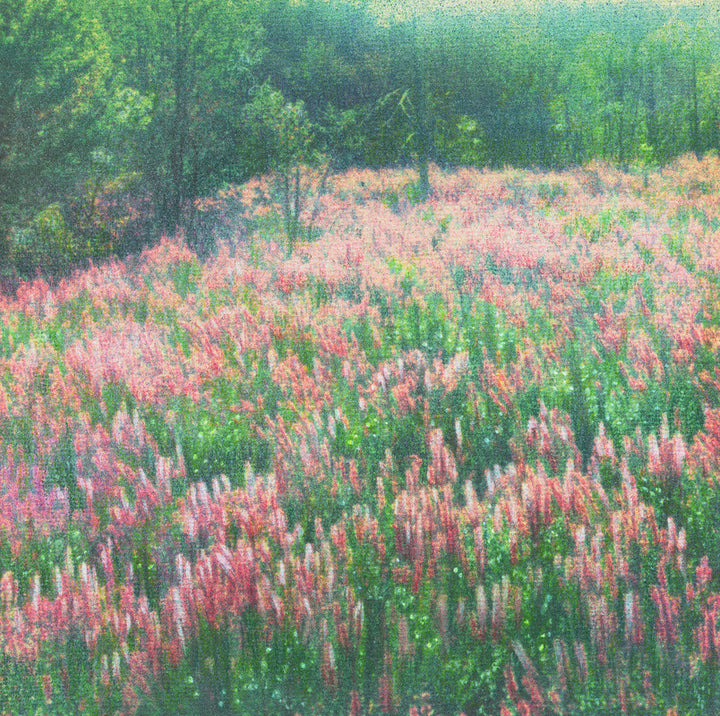 Rhinebeck Field
