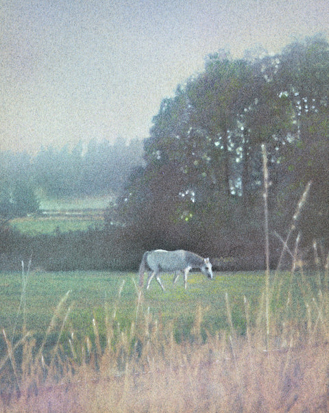 White Horse