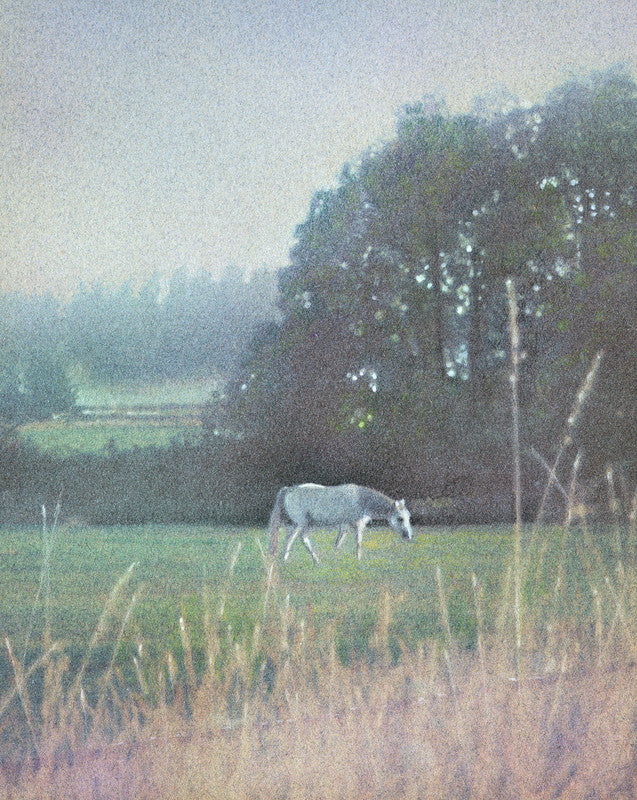White Horse
