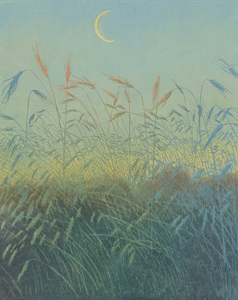 Crescent moon over a field of ears