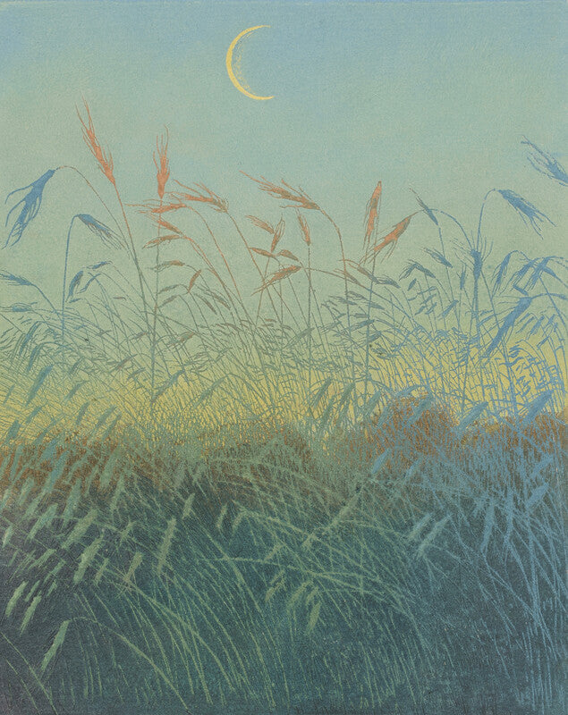 Crescent moon over a field of ears
