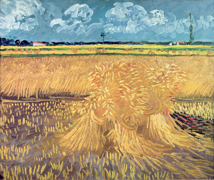Wheat Field (Le Champ de Blé)
