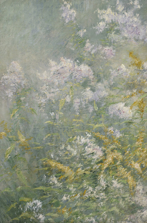 Meadow Flowers (Golden Rod and Wild Aster)