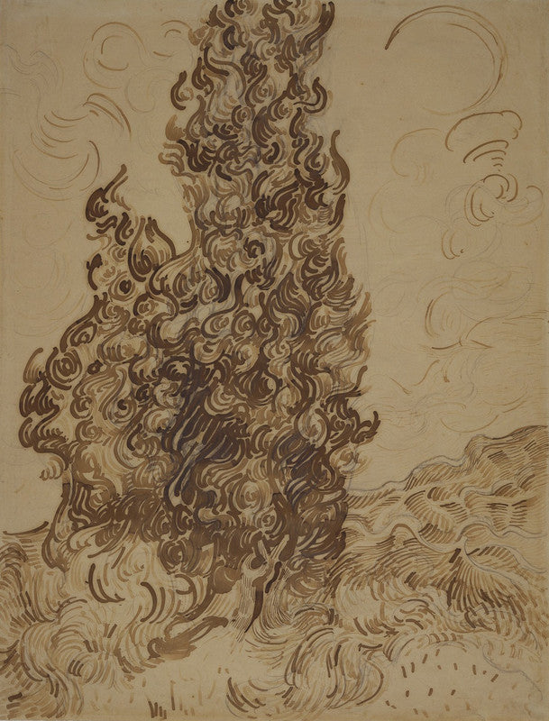 Cypresses (Les Cyprès)