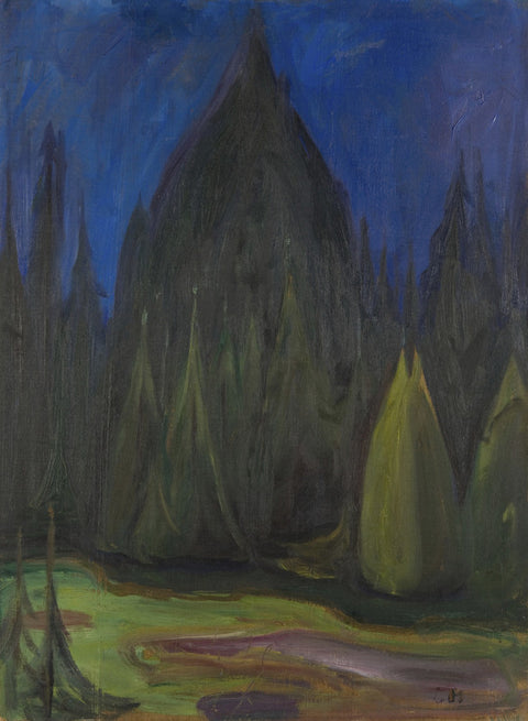 Dark Spruce Forest