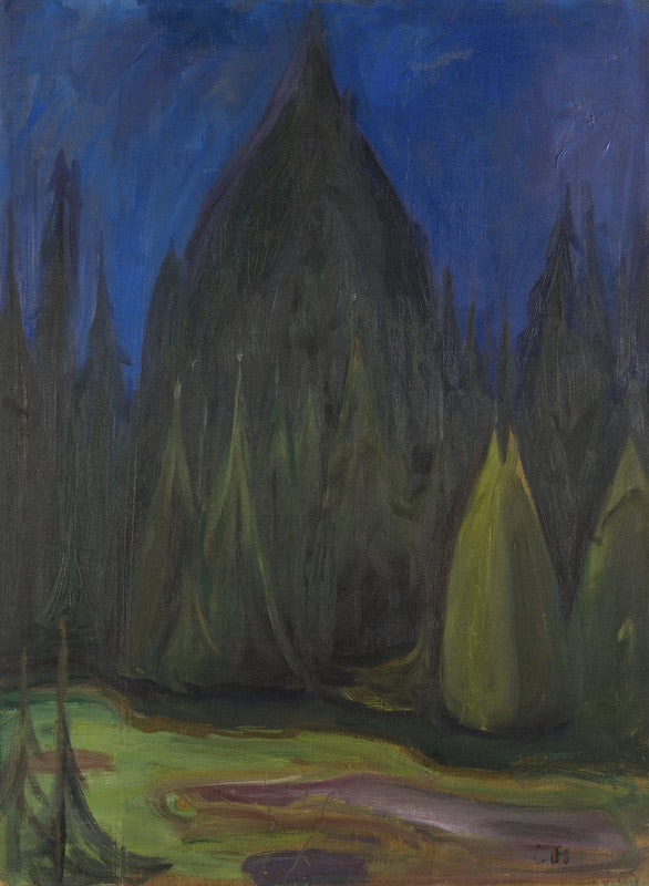 Dark Spruce Forest