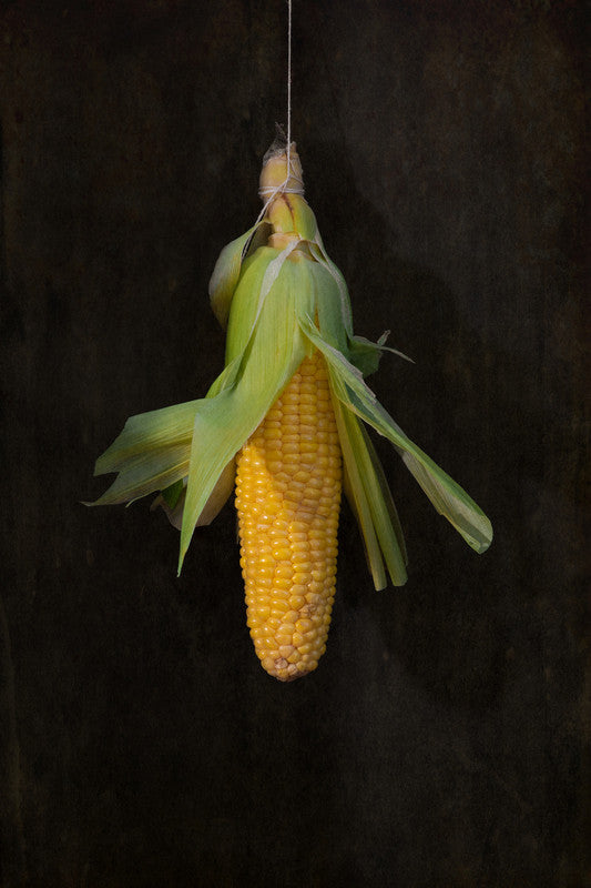 Corn Still Life