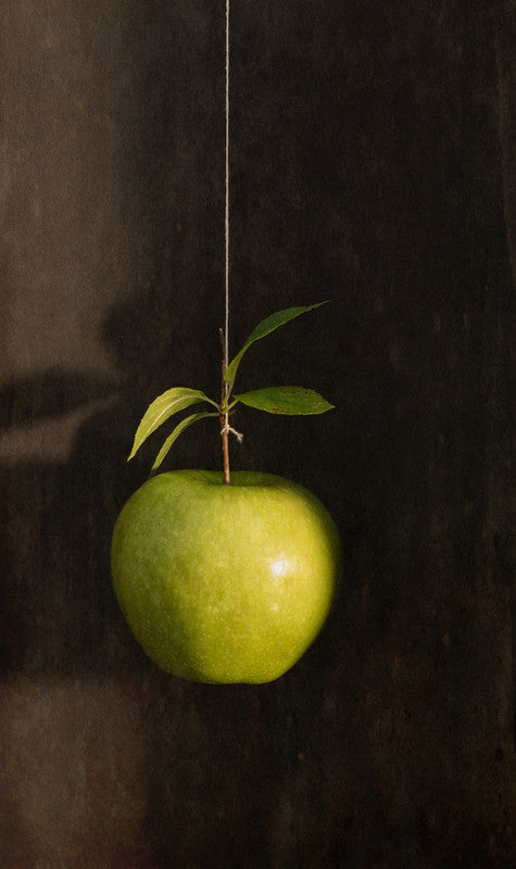 Hanging Apple