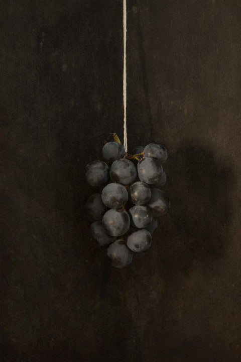 Hanging Grapes