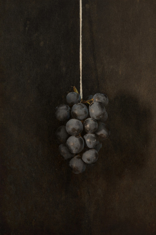 Hanging Grapes