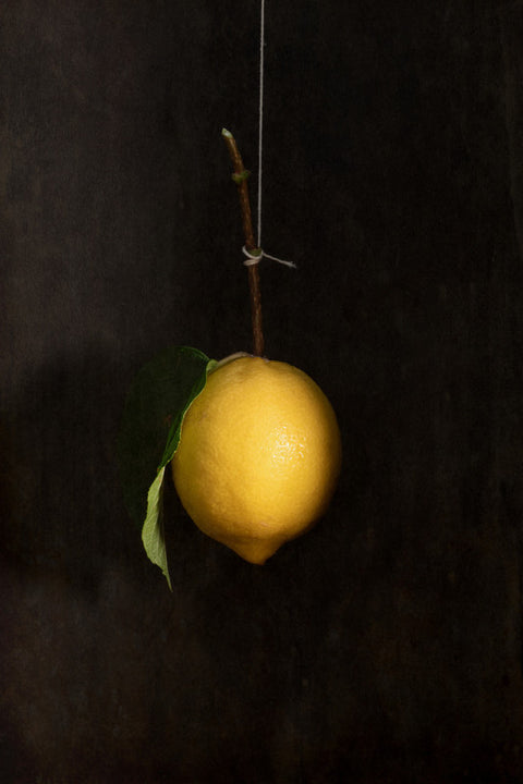 Hanging Lemon