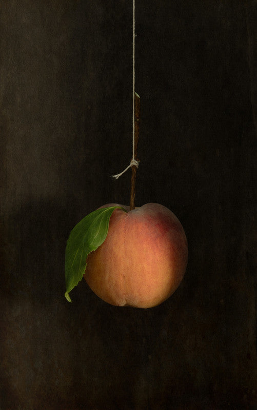 Hanging Peach