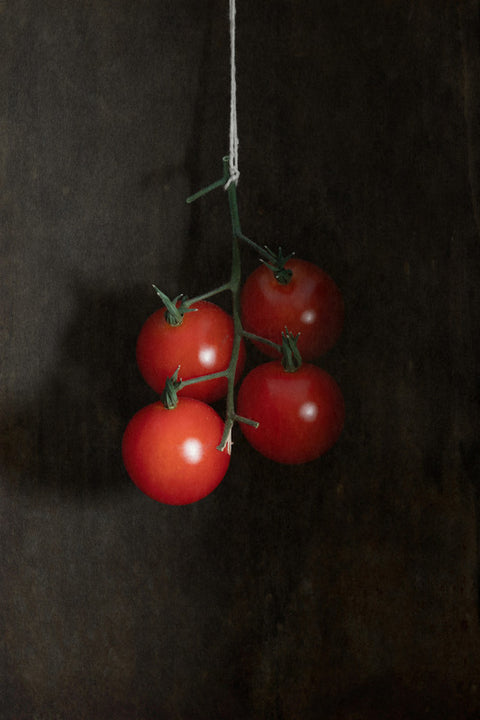 Hanging Tomatoes