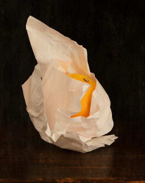 Wrapped Orange