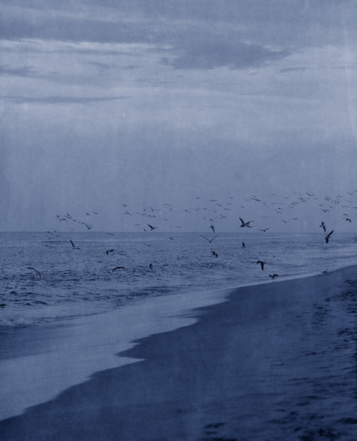 Beach Scene