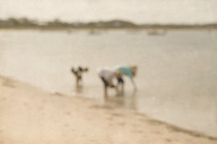 The Seashell Gatherers