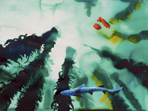 Kelp Forest